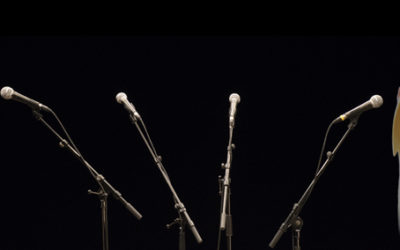 Concert de Perroquets | Les Pourparlers