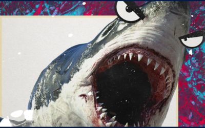 Festival CRAK #6