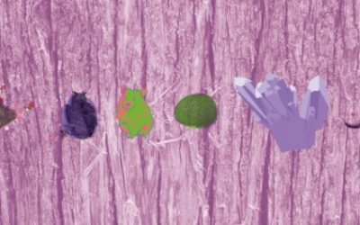2e2m – HISTOIRE NATURELLE, LE MONDE ANIMAL